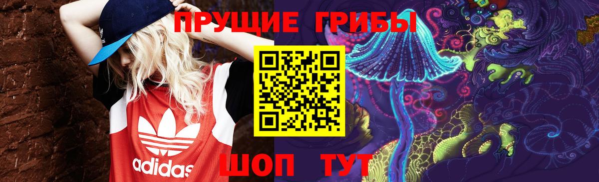 Псилоцибиновые грибы MAGIC MUSHROOMS  Вход с VPN  Десногорск  Псилоцибиновые грибы Cubensis 